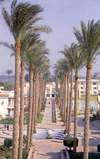Cataract Pyramids Resort 